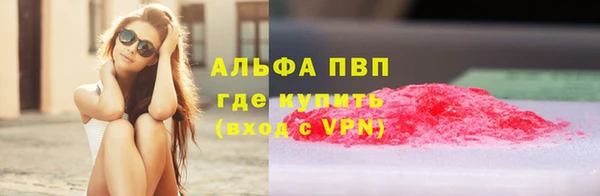 гашик Арсеньев