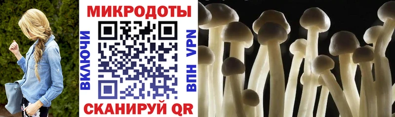 Галлюциногенные грибы мухоморы  Валдай 